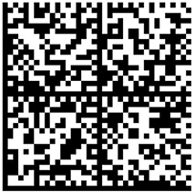 Data Matrix единицы товара