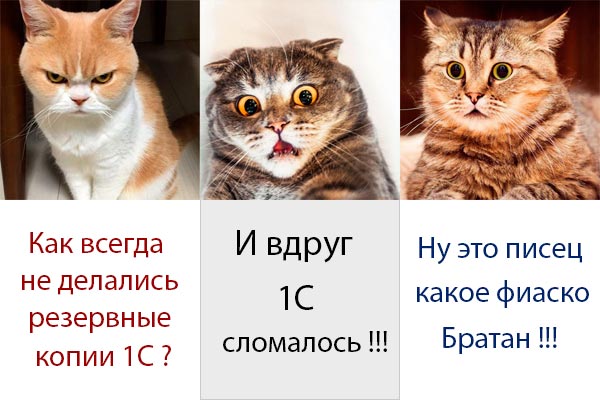 Резервные копии фиаско братан